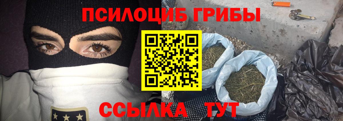Псилоцибиновые грибы Cubensis  Вход с VPN  Камышин 